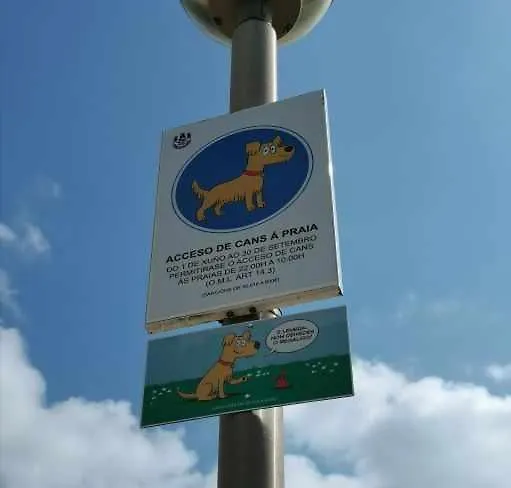 アパート Carreira サダ